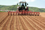 Traktor mit Rüben-Hacke auf dem Feld
